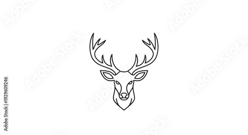 Deer head with large antlers drawing.