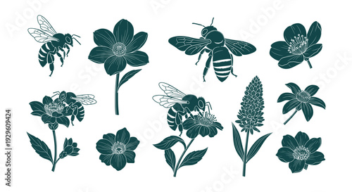 Elegant Detailed Vector Silhouette Set Bees and Various Botanical Flowers Collection for Nature Garden Pollination