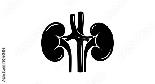 Human Kidneys Anatomy Illustration Black White.