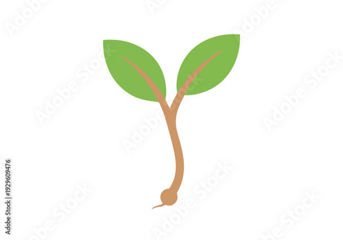 A simple, clean illustration of a small plant sprout with two green leaves emerging from a brown stem, symbolizing growth and new beginnings