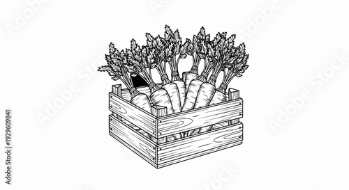 A detailed illustration shows a wooden crate overflowing with fresh carrots