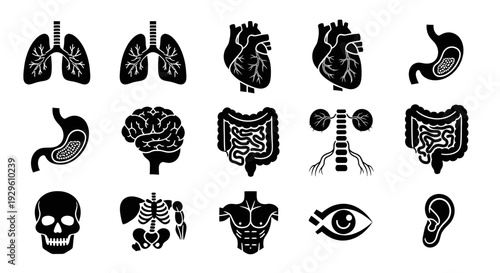 Human Anatomy Organs and Skeleton Black Silhouette Icons Set.