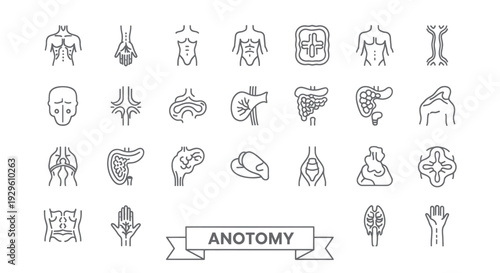 Human Anatomy Outline Icons Set Representing Various Organs and Body Parts.