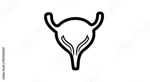 Human Bladder Organ Outline for Medical and Educational Use.
