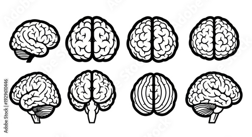 Human Brain Anatomy Views Black and White Outline Set.