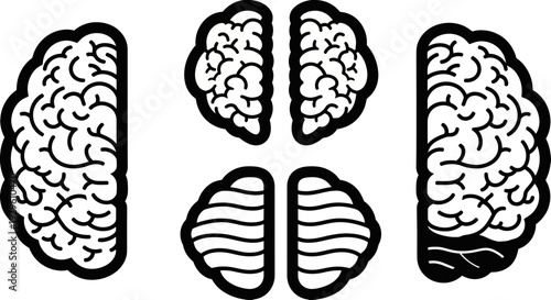 Human Brain Halves in Various Orientations Representing Thought and Intellect.