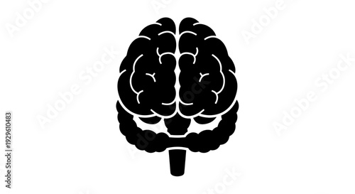 Human Brain Silhouette Illustrates Thought and Intelligence.