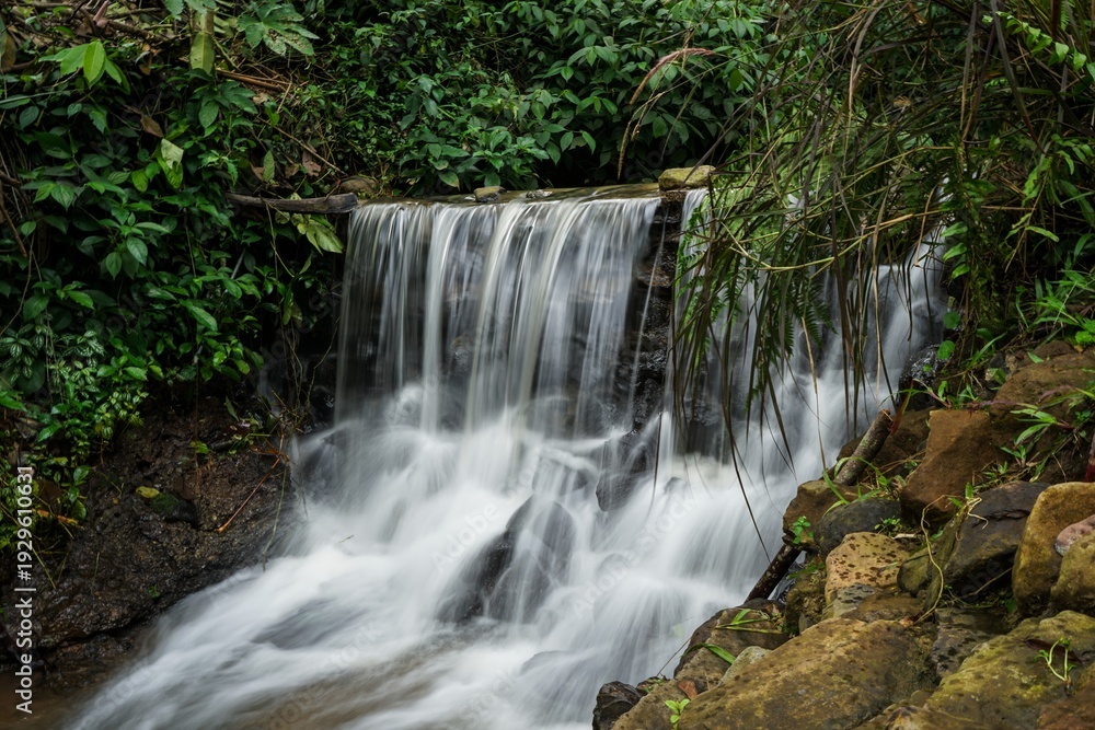 Fototapeta premium Beautiful small forest waterfall with long exposure silk water effect.