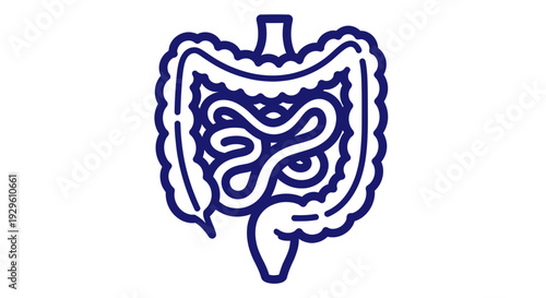 Human Intestines Outline Illustration Representing Digestive System Health.