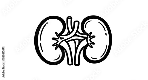 Human Kidneys Organ Doodle Style Drawing Illustration.