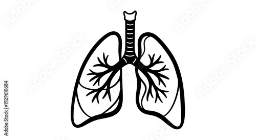 Human Lungs Anatomy Diagram Black and White Illustration.