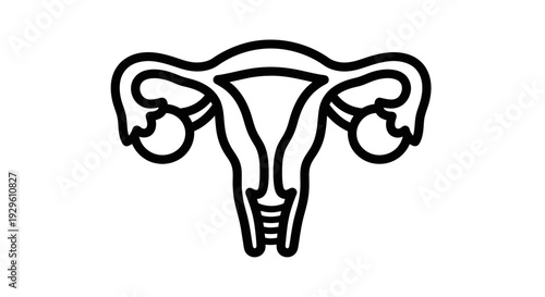 Simple line art drawing of a human uterus.