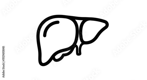 Simple Line Art Icon of Human Liver Organ.