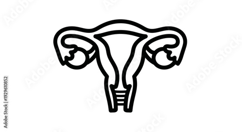 Simple Line Art Illustration of the Female Reproductive System.