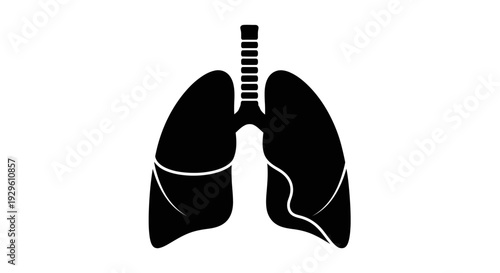 Human Lungs Anatomy Silhouette Illustration.