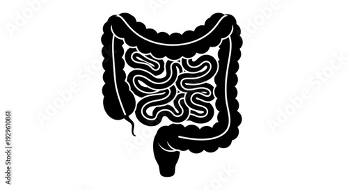 Stylized black and white illustration of the human intestines and colon.