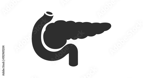 Human Pancreas Organ Medical Illustration.