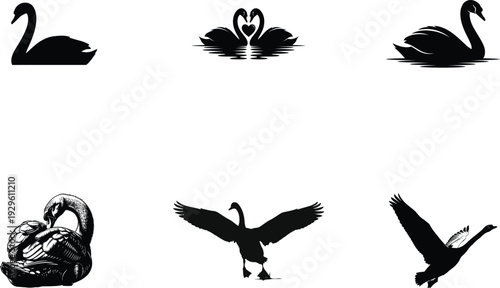 Collection of swan and goose silhouettes