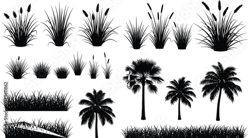 Grass and palm tree silhouettes set, tropical plants and reeds collection isolated on white background