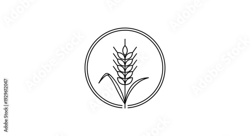 Line Art Wheat Ear in Circle Icon Design, Isolated White Background