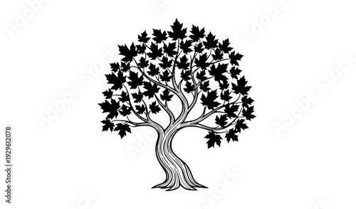 Decorative Black and White Maple Tree Vector Illustration on Solid White Background