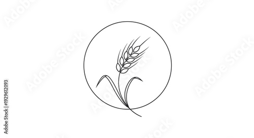 Minimalist Line Art Drawing of a Single Wheat Ear in a Circle Frame on Isolated White Background, representing Grain and Agriculture