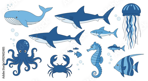 Blue ocean animals set on white background.