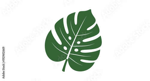 Large green tropical leaf closeup.