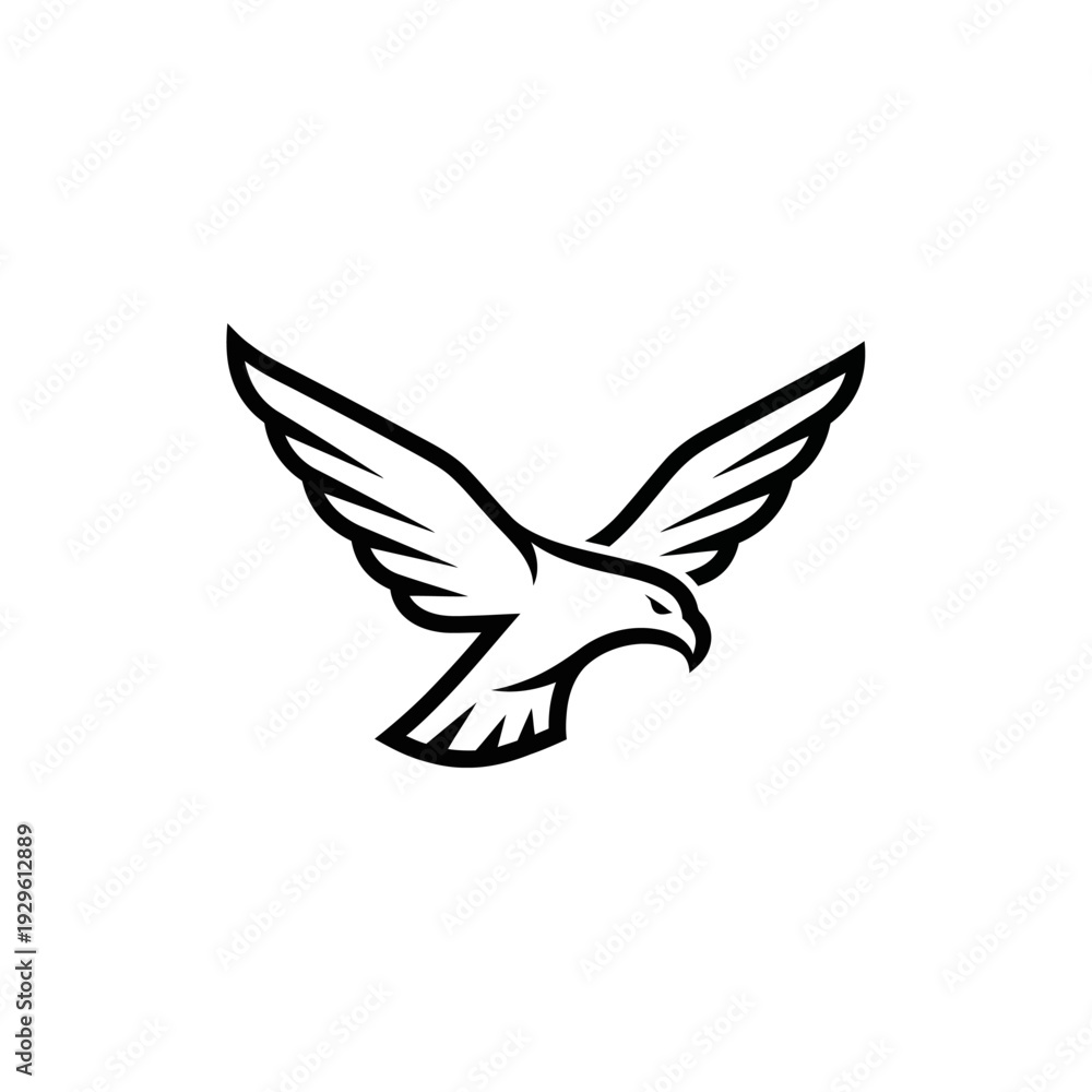 Fototapeta premium Black and White Dove in Flight.