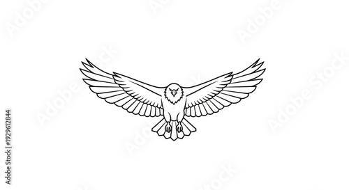 Owl flying with wings spread wide.