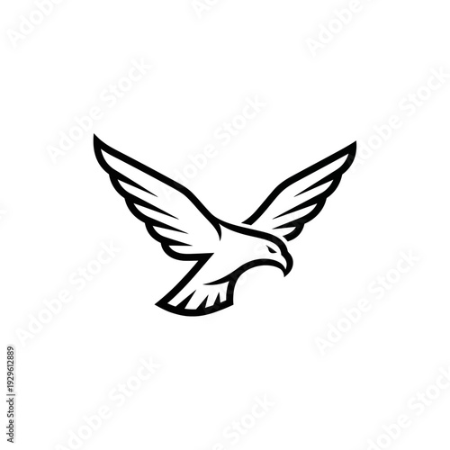 Black and White Dove in Flight.