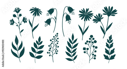 Elegant Botanical Floral Leaves Silhouettes Vector Collection Nature Spring Summer Illustration Set
