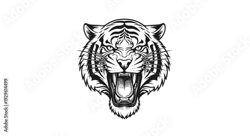 Tiger Head Illustration with Open Mouth.