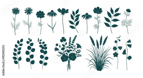 Elegant Botanical Floral Silhouettes Vector Set Diverse Nature Plants Flowers Leaves Herbs Collection