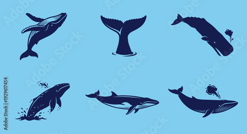 Majestic whale silhouettes set in different positions including breaching diving and tail fluke flat vector illustration for ocean wildlife conservation