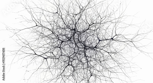 Neuron cell network in brain.
