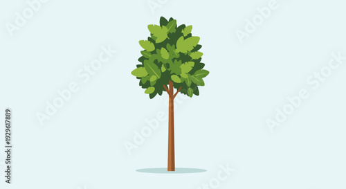 Tree with green leaves standing alone.