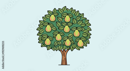 Pear Tree with Green Leaves and Fruits.