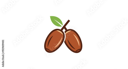 Brown Cocoa Beans with Green Leaf.