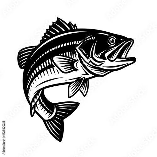 Jumping Bass Fish Black and White Vector Illustration, Detailed Fishing Logo in Vintage Engraving Style