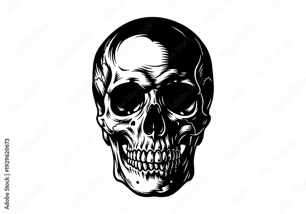 Obraz premium Realistic Human Skull Black and White Vector Illustration, Detailed Anatomical Skeleton Head