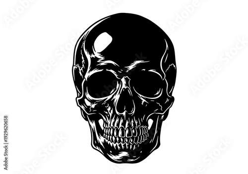 Black and White Human Skull Vector Illustration, Detailed Gothic Skeleton Head Icon