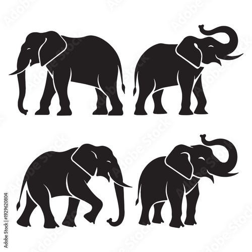 A set of wild elephant silhouettes and a large baby rhinoceros walking through the safari, featuring isolated vector illustrations of these majestic mammals with prominent trunks and tusks