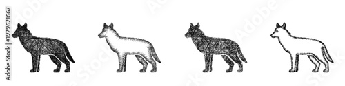 Sketch wolf icon design set
