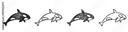 Sketch orca icon design set