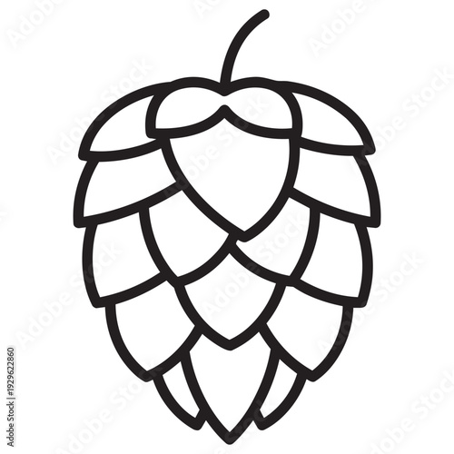 Simple line drawing of a hop cone