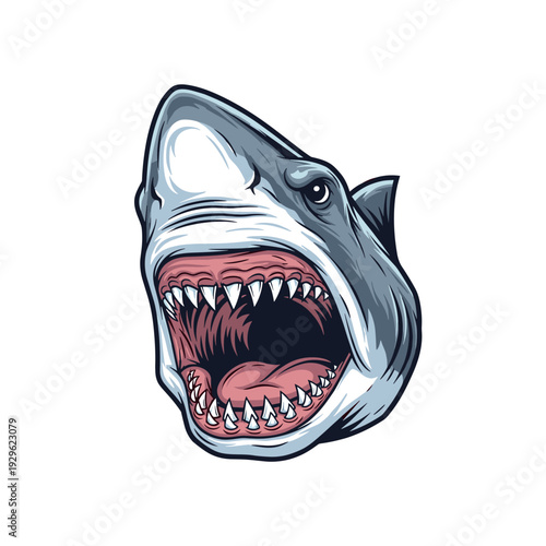 Fierce shark head with mouth wide open showing sharp teeth