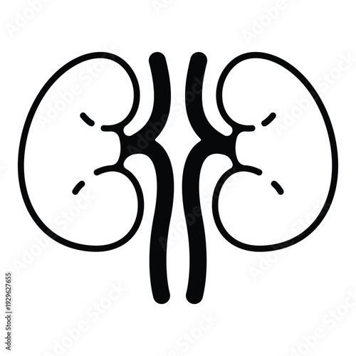 Symmetrical human kidney line art symbol for urology clinics.