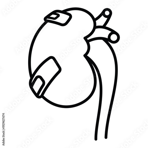 Injured kidney with medical bandages line art for healthcare awareness.