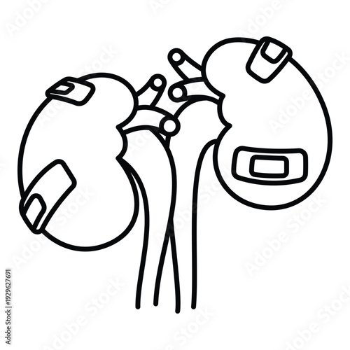 Injured kidneys with bandaids line art vector for healthcare recovery concepts.